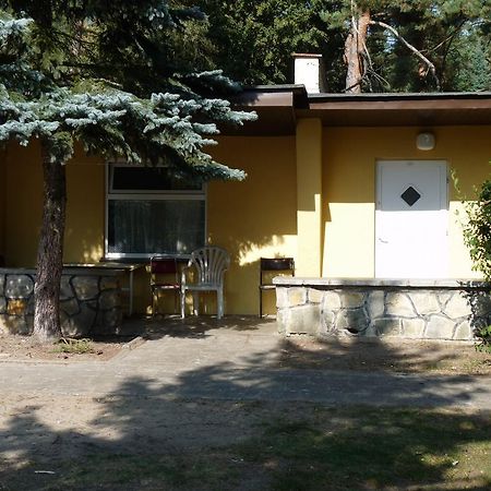 Osrodek Wypoczynkowy Jelonek Hotell Wolsztyn Exteriör bild