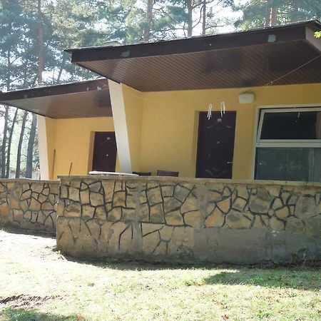 Osrodek Wypoczynkowy Jelonek Hotell Wolsztyn Exteriör bild